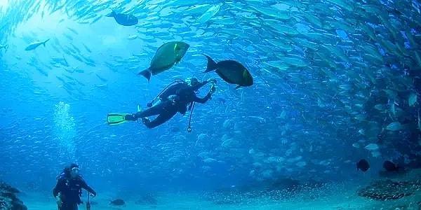 Ters dalış ayrıca dalgıcın su altında daha iyi manevra kabiliyetine sahip olmasını sağlar.
