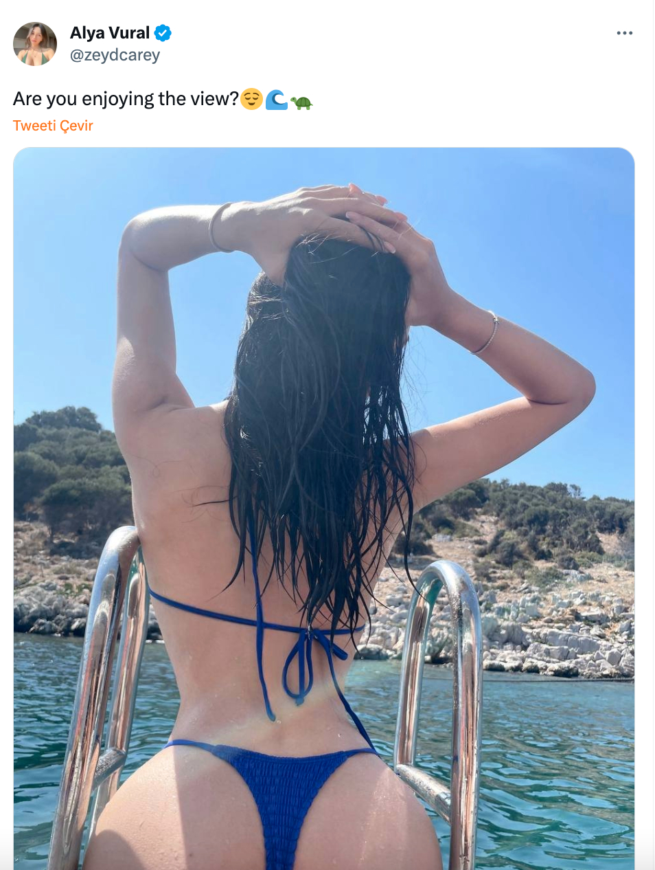 Alya vural