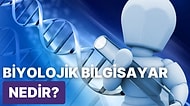 Biyolojik Bilgisayar Nedir? Nasıl Çalışır? Avantajları ve Dezavantajları Nelerdir?