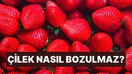 Çileğin Bozulmaması İçin Çileği Nasıl Doğru Şekilde Saklamalıyız?