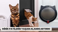 Evcil Hayvan Sahiplerinin Dikkatine! En Çok Satan Kedi Kapısı Seçenekleri