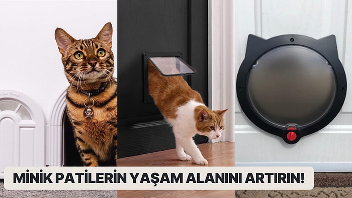 Evcil Hayvan Sahiplerinin Dikkatine! En Çok Satan Kedi Kapısı Seçenekleri