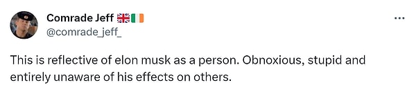 "Bu Elon Musk'ın yanıması. İğrenç, aptal ve diğer insanların üzerindeki etkileri umursamayan..."
