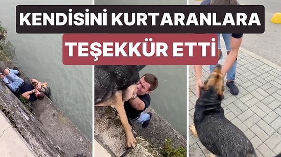 Kendisini Düştüğü Sudan Kurtaranların Sudan Çıkmasını Bekleyerek Onlara Teşekkür Eden Köpek