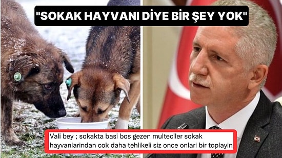 "Sokak Hayvanı Diye Bir Şey Yok" Diyen İstanbul Valisi Davut Gül, Sosyal Medyayı İkiye Böldü!