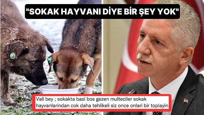 "Sokak Hayvanı Diye Bir Şey Yok" Diyen İstanbul Valisi Davut Gül, Sosyal Medyayı İkiye Böldü!