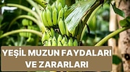 Yeşil Muzun Zararları ve Faydaları Nelerdir?