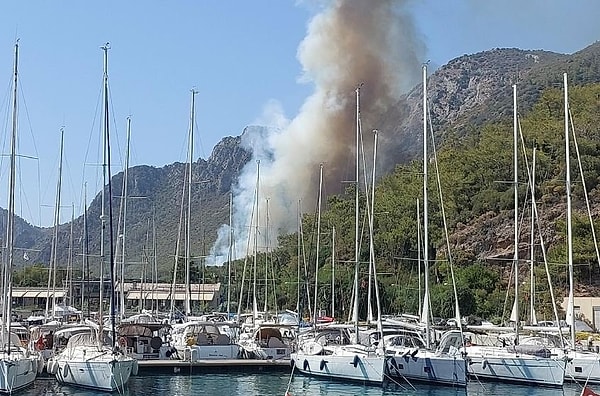 Yangının başlamasından hemen sonra ormanlık alandan uzaklaşan otomobilin yakalanması için Jandarma ekipleri soruşturma başlattı.