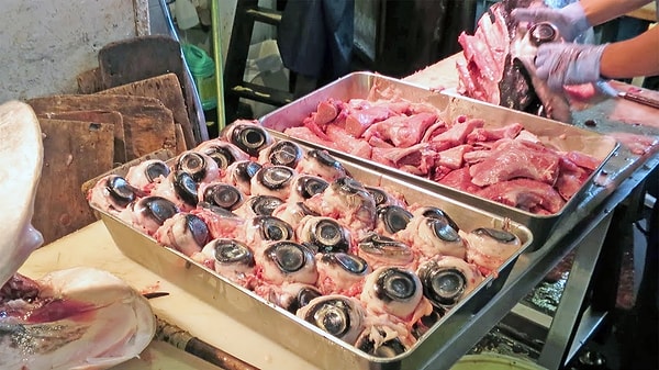 11. Japonların bayılarak yediği atıştırmalık: Ton balığının göz bebekleri... (Gözüm seyirdi)