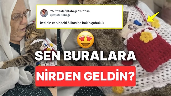 Örgü Yeleğinin Cebindeki 5 TL Harçlığıyla Görenleri Pamuk Gibi Yapan Kedi