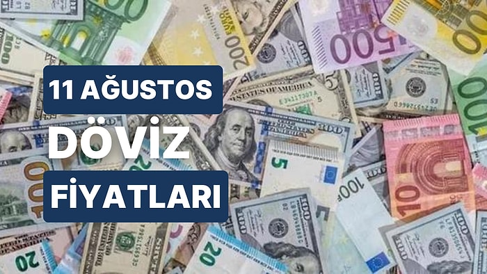 11 Ağustos Cuma Döviz Kuru USD Fiyatı: Bugün Dolar Fiyatı Ne Kadar? 1 Dolar Ne Kadar?