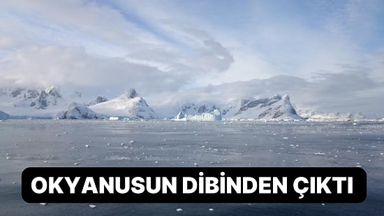 Antartika'da İnsanın İçini Ürperten Keşif: 20 Kolu Var