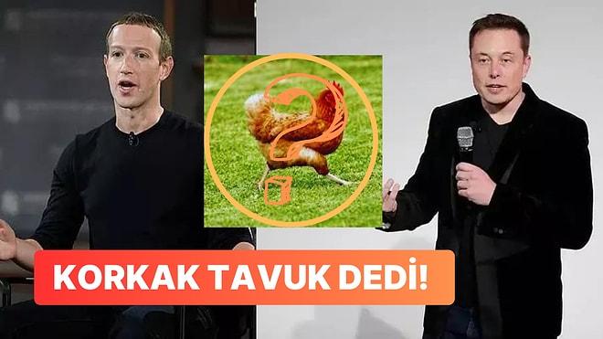 Elon Musk ve Zuckerberg Arasındaki Dövüş Tartışması: Musk'tan Zuckerberg'e "Korkak Tavuk" İddiası