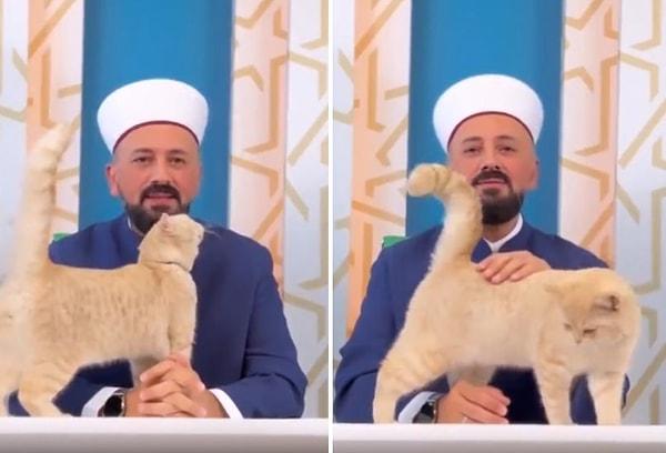 Viral olan o anlarda hafız Mustafa Efe konuşma yaptığı sırada yanına gelen kediyi severken görülüyor.