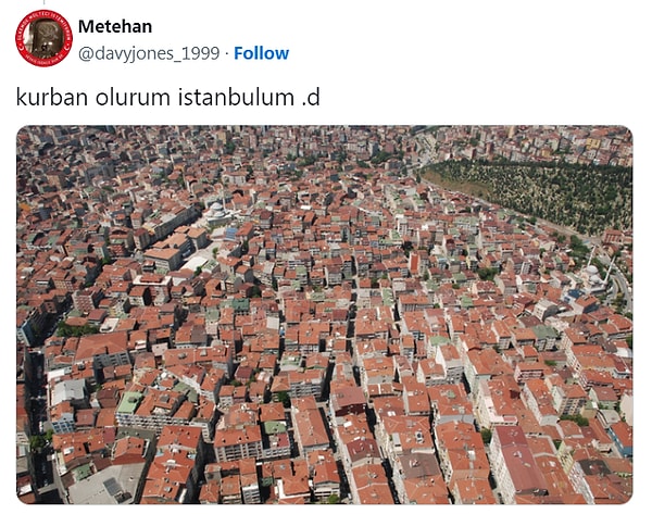 Sağ tarafa doğru çok dikkatli bakarsanız yaşam savaşı veren bi' kaç ağacı görebilirsiniz.