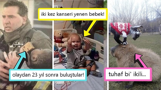 Gördüğünüz Anda İçinizin Yağlarını Eritip Sizi Pamuk Gibi Yapacak Birbirinden Etkileyici 15 Görsel