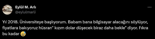 Bazı sektörlerin ve ürünlerin döviz kurlarından daha çok etkilendiği bilinirken,