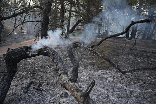 Yangına havadan ve karadan müdahale devam ederken, Tarım ve Orman Bakanı İbrahim Yumaklı yangının ilerlemesinin durdurulduğunu söyledi.