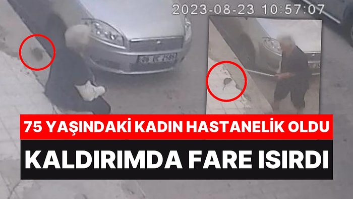 Kaldırımda Otururken Fare Isırdı: 75 Yaşındaki Kadın Hastanelik Oldu