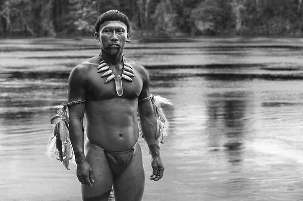 9. "Embrace of the Serpent" (2015)