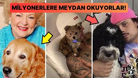 Sosyal Medya Fenomenlerine Bile Taş Çıkaracak Bu Evcil Hayvanları Görünce Fakirliğinizi Sorgulayacaksınız!