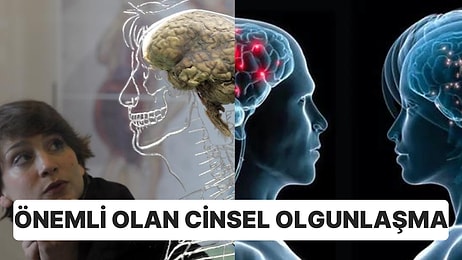 Bilim Dünyasından Yeni Bir Açıklama: İnsan Beyninin Bu Kadar Büyük Olmasının Nedeni Cinsellik!