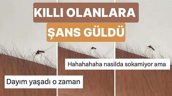 Kıllarınızın Aslında Sizi Yaz Mevsiminin Kabusu Sivrisineklerden Koruduğunu Biliyor muydunuz?