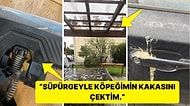 Çöle Düşse Kutup Ayılarıyla Karşılaşıp Birtakım Tatsız Olaylar Yaşayabilecek 15 Bahtsız Kişi