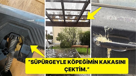 Çöle Düşse Kutup Ayılarıyla Karşılaşıp Birtakım Tatsız Olaylar Yaşayabilecek 15 Bahtsız Kişi