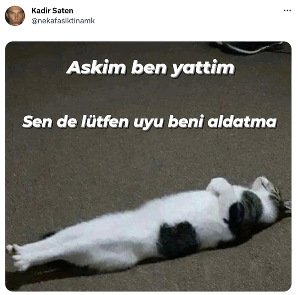 6. Lütfen aşkım lütfen.