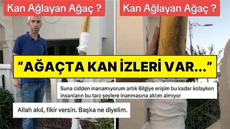 Menzil Tarikatının Şeyhi Öldüğünde 'Hüngür Hüngür Ağladığı' İddia Edilen Ağacın Görüntüsü Dumur Etti