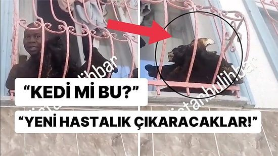 Afrikalı Sığınmacının Hayvan Yakıp Camın Önünde Yemek için Beklettiği Söylenen Görüntüler İnfial Yarattı!