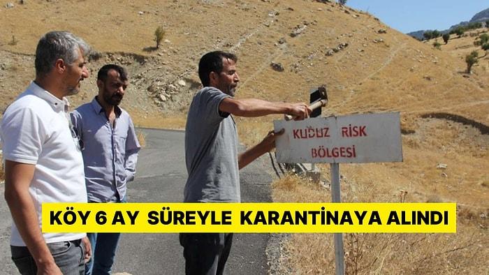 Türkiye, En Riskli Ülkeler Seviyesine Yükseltilmişti! Kuduz Paniği: Köy 6 Ay Süreyle Karantinaya Alındı