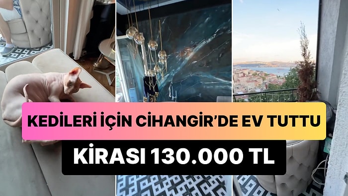 Kedileri İçin Cihangir'de Kirası 130.000 TL'lik Ev Tutan Adamı İzlerken Hayatı Sorgulayacaksınız