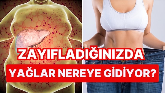 Diyet Sürecinde Aklınıza Takılan O Soruyu Yanıtlıyoruz: Zayıfladığınızda Yağlar Nereye Gidiyor?