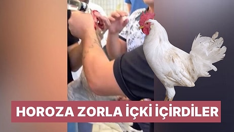 Düğünde Horoza Zorla İçki İçiren 5 Kişinin Cezası Belli Oldu