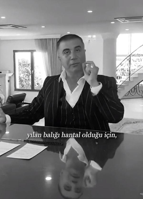 Paylaşılan videoda, Sedat Peker’in eski açıklamalarından yapılmış bir kolaj bulunuyor.