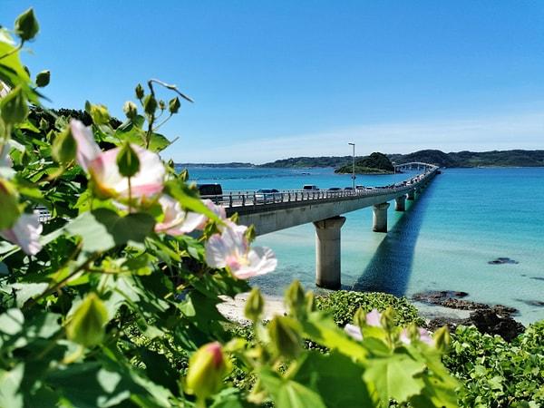 Japonya'nın mavi bölgesi Okinawa'da kadınlar tofu, miso ve deniz yosunu temelli bitki özlü diyetleri sayesinde uzun yaşlara kadar yaşıyor.