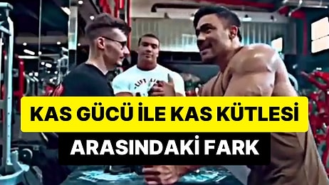 Savaş Cebeci ve Kaan Kazgan'ın Sokak Kavgası Sonrası Yeniden Gündem: Kas Gücü ile Kas Kütlesi Arasındaki Fark