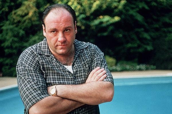 Fakat bunların hiçbiri popüler HBO dizisi The Sopranos kadar ilgi görmedi ve bu dizi sanatçının belki de ölüm sebeplerinden biri oldu.
