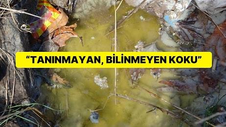 İstanbul’da Kimyasal Madde Paniği: Kötü Koku Ekipleri Harekete Geçirdi