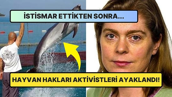 Dünya Nereye Gidiyor? Yunusu İstismar Etmekle Suçlanan Adamın İlginç Hikayesi