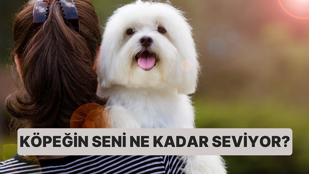 Köpeğin Seni Ne Kadar Seviyor?