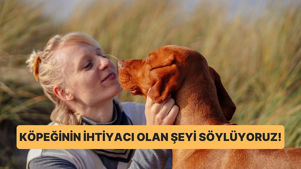 Köpeğinin İhtiyacı Olan Şeyi Söylüyoruz!