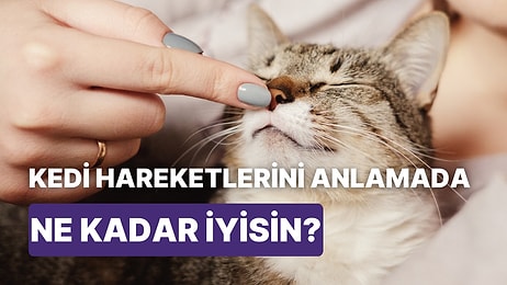 Kedilerin Hareketlerini Ne Kadar Anlayabiliyorsun?