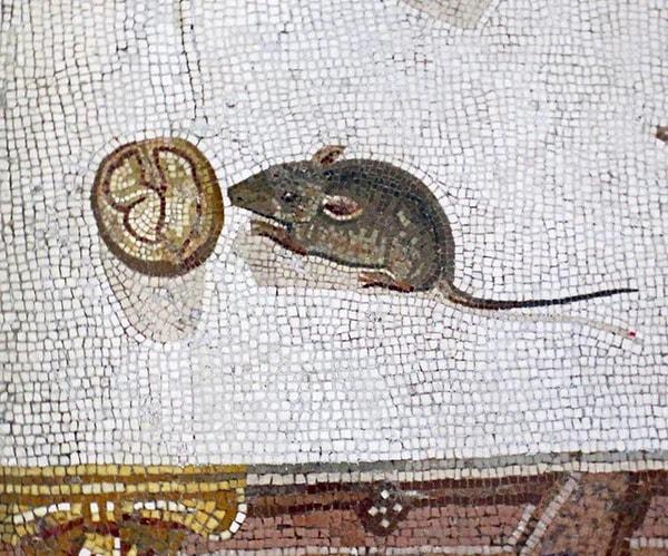 2. Ceviz yiyen küçük bir farenin resmedildiği M.S 117 yıllarından kalma antik bir Romalı mozaiği.