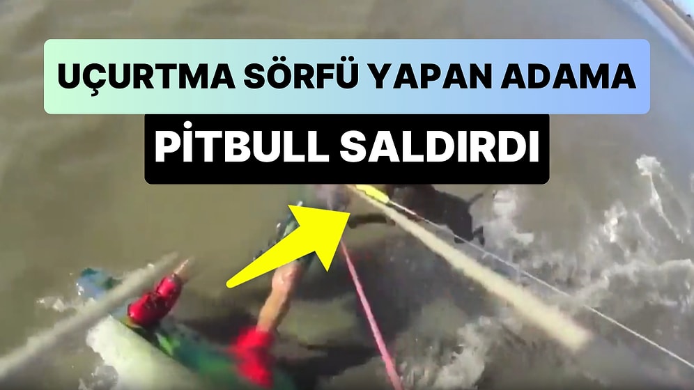 Uçurtma Sörfü Yaparken Denizde Pitbull Saldırısına Uğrayan Adamın Korkunç Anları