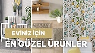 Ev Sahiplerinin Kullanmaktan ve Görmekten Keyif Aldığı Ürünler