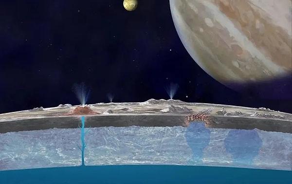 Webb Teleskobu tarafında yapılan incelemeler sonucunda uyduda yer alan tuzlu sıvı okyanuslarından kaynaklanan karbondioksit bileşenine rastlandı.