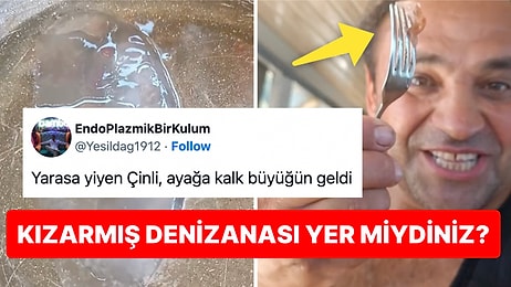 Denizanasını Kızartıp Limonlayarak Yiyen Ordulu Vatandaş Hepimizi Uzaklara Daldırdı